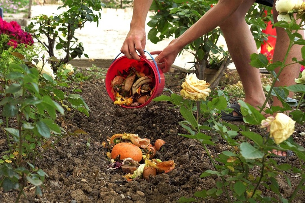 leftover compost gardening hacks