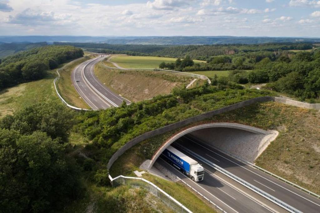 Longkamp Highway Ecoduct infrastructure 