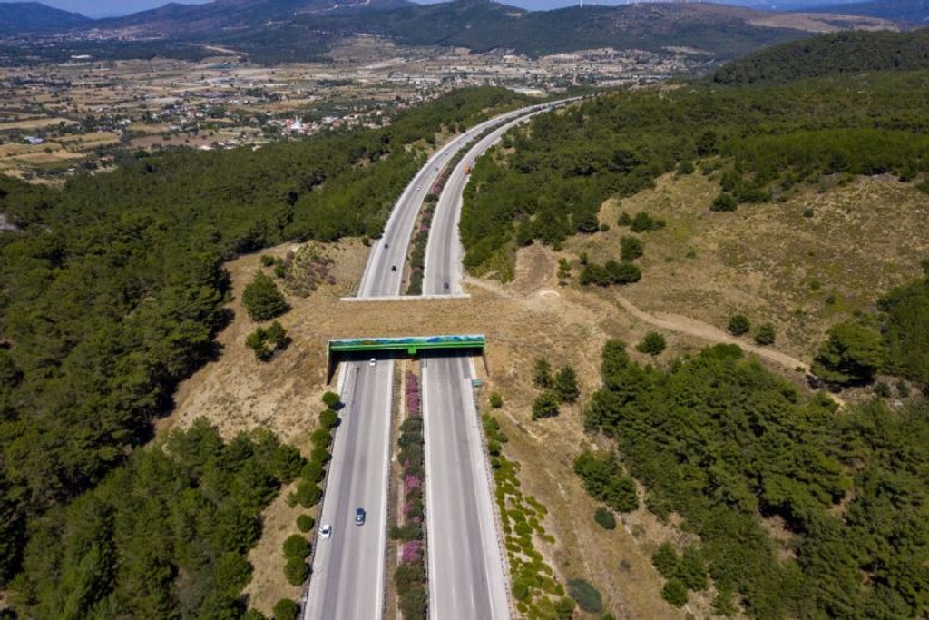 unique bridges Ecological Highway