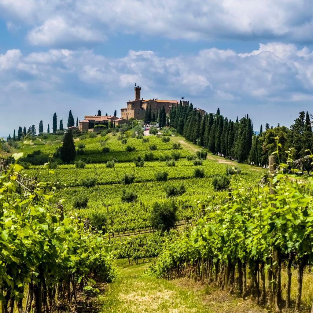 Tuscany Vineyard Holiday homes